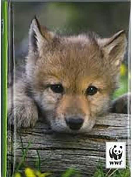 diari-e-agende-scuola-2014